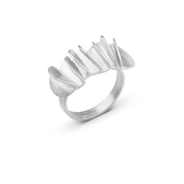 ANELL PLATA PLECS