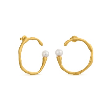BOUCLES D'OREILLES DORÉES ECLAT CIRCULAIRES