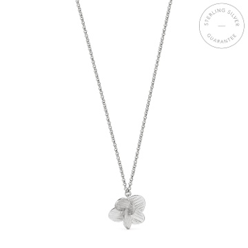 SILVER NECKLACE PAMPALONIA CHAIN